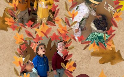 AUTUMN IS HERE…🍁🌰🍂